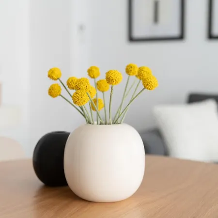 Karman Q Apartmán Temešvár