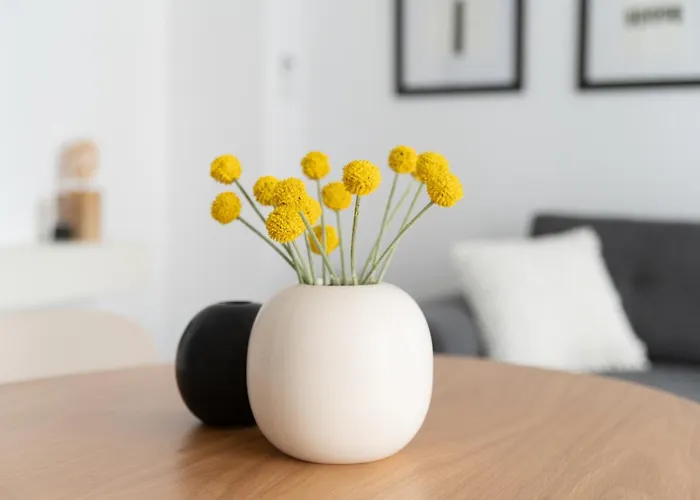 Karman Q Apartment Timisoara