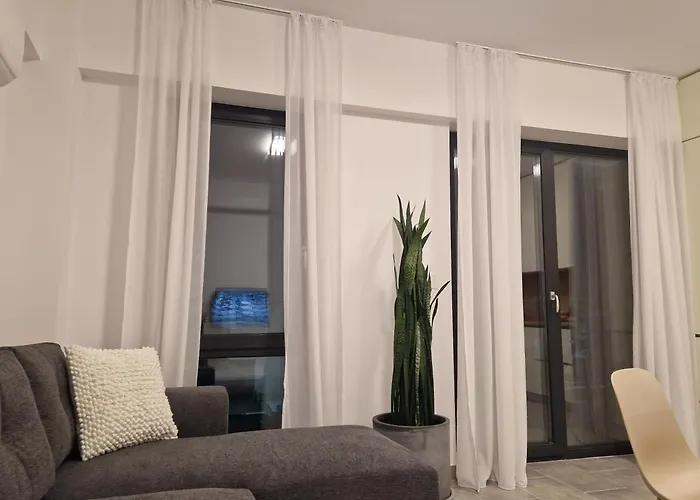 Karman Q * Timisoara